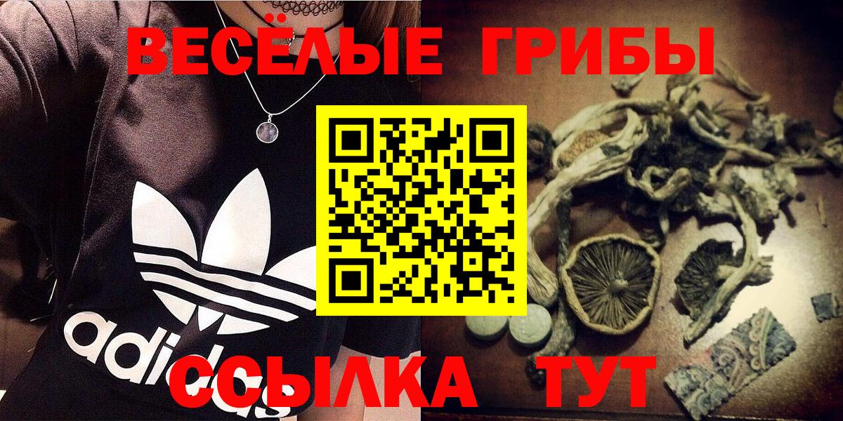 Галлюциногенные грибы ЛСД  Галлюциногенные грибы прущие грибы  Вход с VPN  Ставрополь 